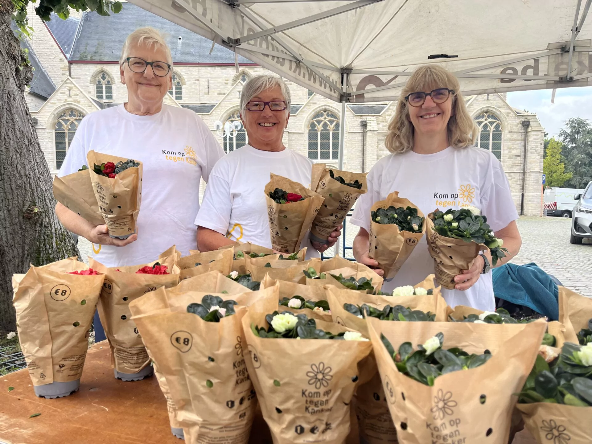 Gentse azalea tijdens Plantjesweekend