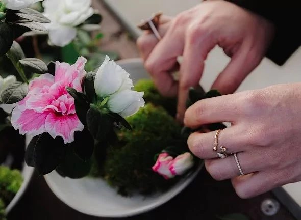 Gentse azalea variëteit